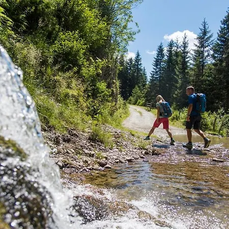 Family- Alpenblick Dellach im Drautal